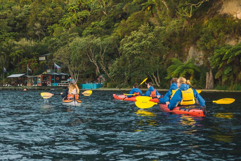 Tour en kayak por el lago McLaren