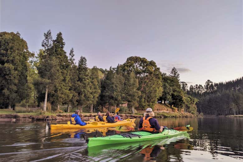 Tour en kayak por el lago McLaren