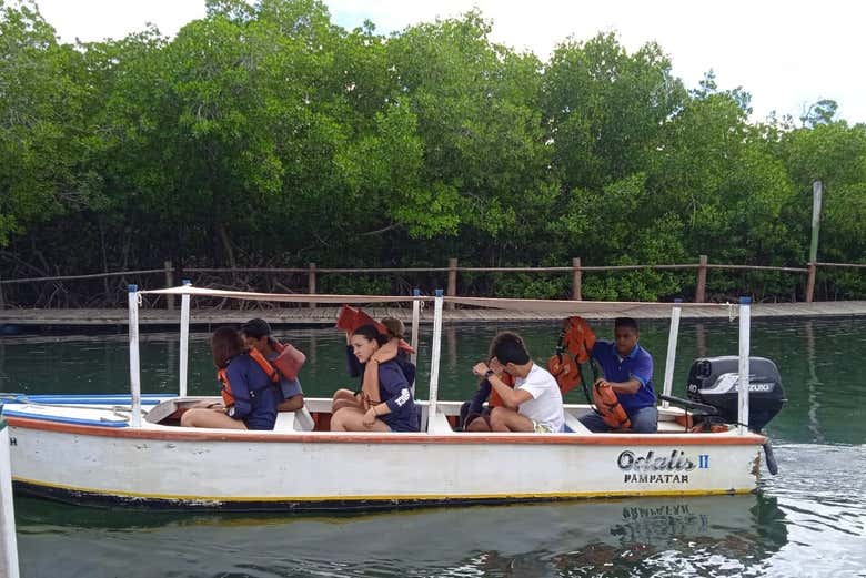 Tour por La Asunción y Macanao