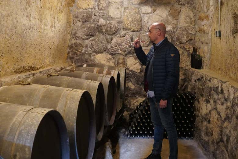 Visita a la Bodega Tovar