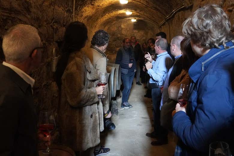Visita a la Bodega Tovar