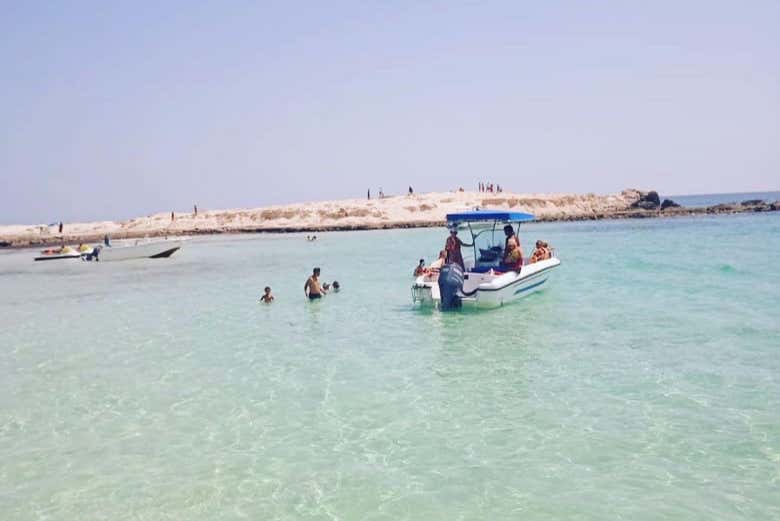 Avistamiento de delfines en Djerba