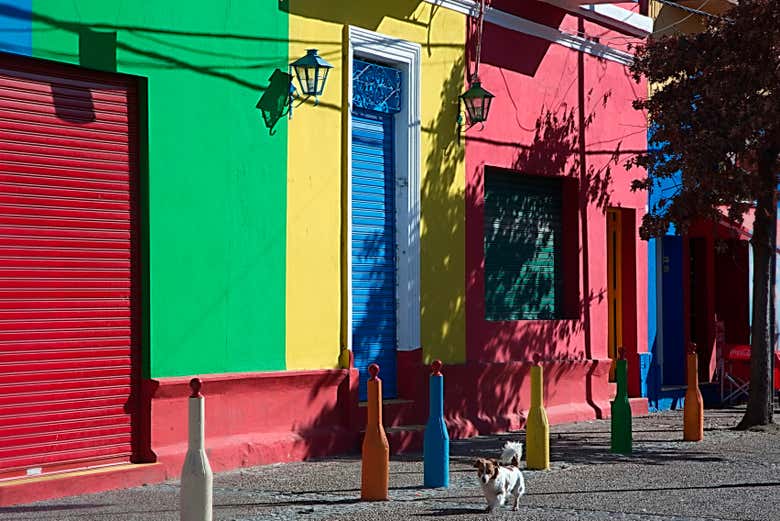 Tour por Buenos Aires para cruceros