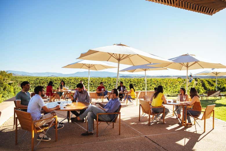 Visita a las Bodegas Campo Viejo