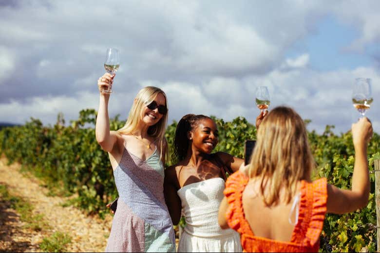 Visita a las Bodegas Campo Viejo