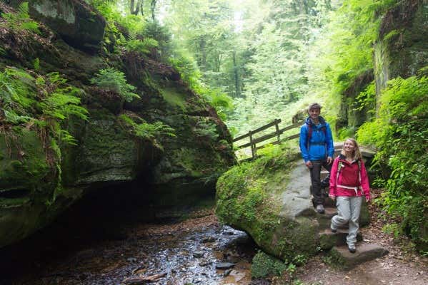 Excursión a Beaufort, Vianden, Echternach y la cascada de Schiessentümpel