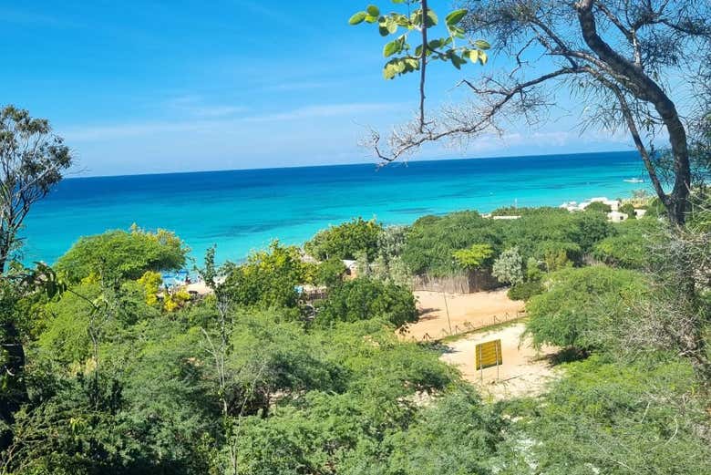 Excursión a Bahía de las Águilas