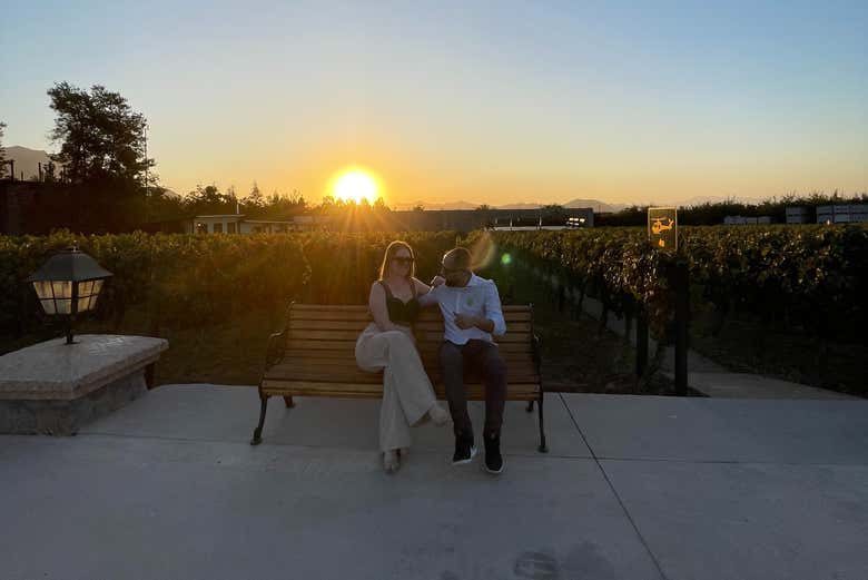 Excursión al viñedo Alyan al atardecer