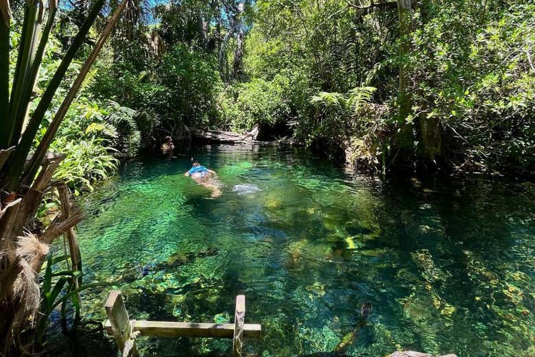 Tour en kayak por los manglares de Sisal
