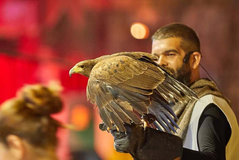 Cena con espectáculo medieval en el Castillo de San Miguel