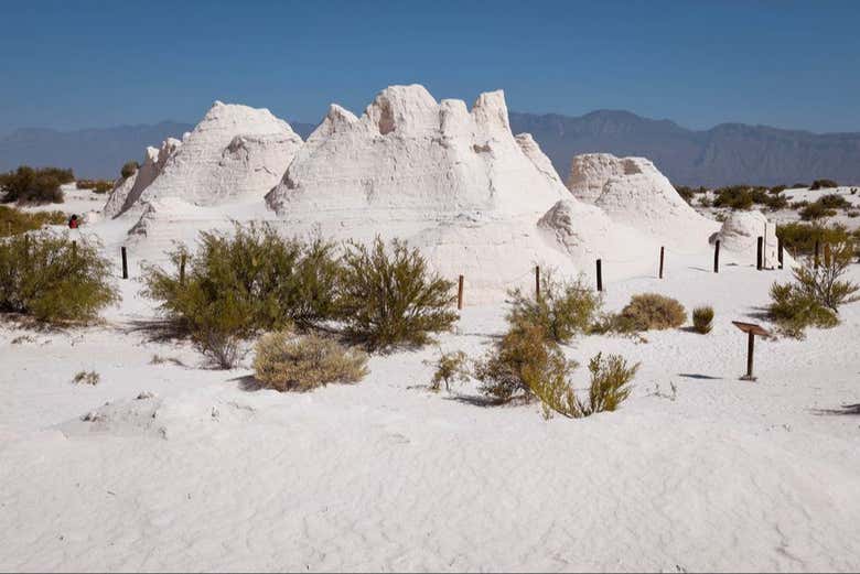 Excursión a Cuatro Ciénegas - Galería 1
