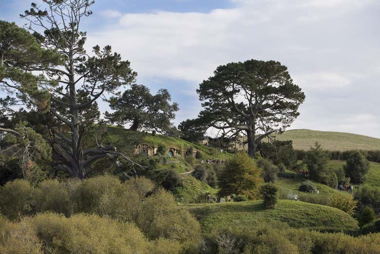 Excursión a Hobbiton