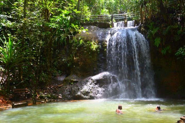 Tour por el Parque Forestal Colo-i-Suva
