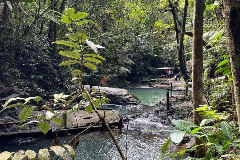 Tour por el Parque Forestal Colo-i-Suva