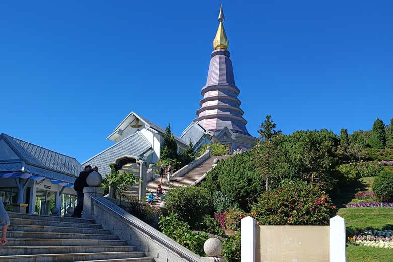 Oferta: Excursión al santuario de elefantes + Doi Inthanon