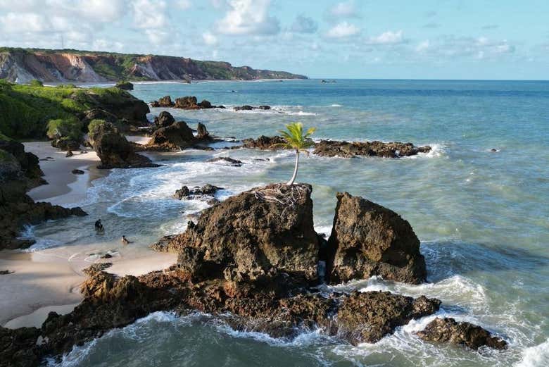 Excursión a las playas Tambaba y Coqueirinho