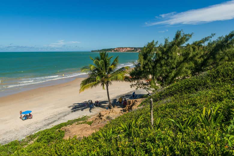 Excursión a las playas Carapibus, Tabatinga y Bela