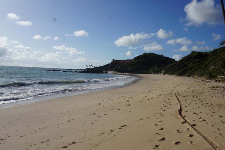 Excursión a las playas Carapibus, Tabatinga y Bela