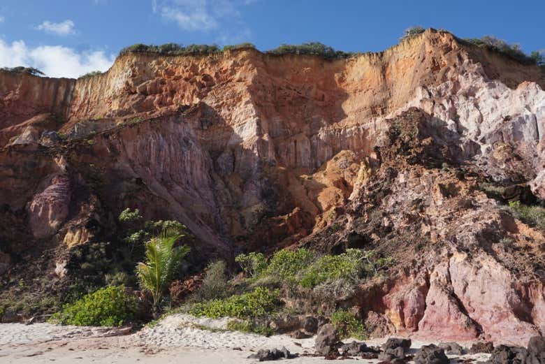 Excursión a las playas Carapibus, Tabatinga y Bela