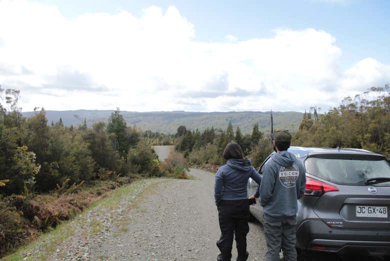 Excursión al Parque Nacional Alerce Costero