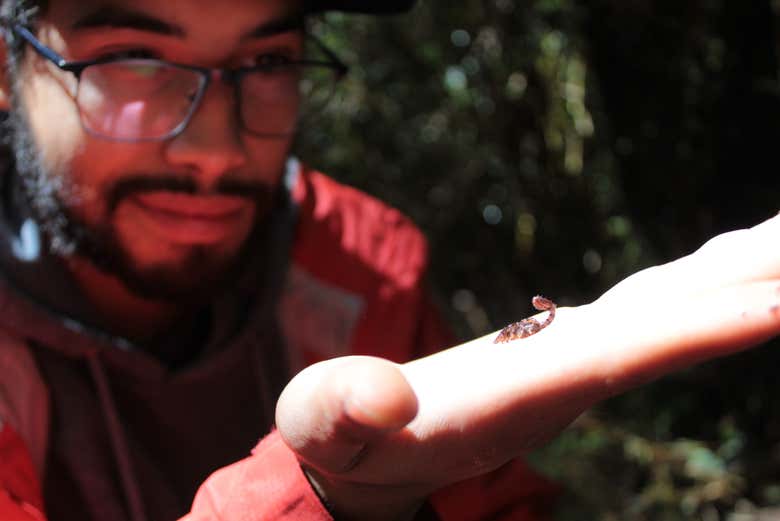 Excursión al Parque Nacional Alerce Costero