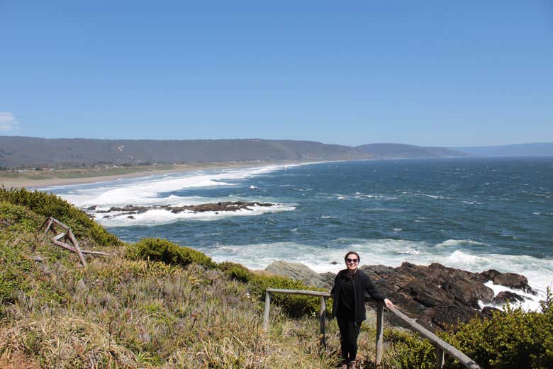 Excursión a Punta Curiñanco
