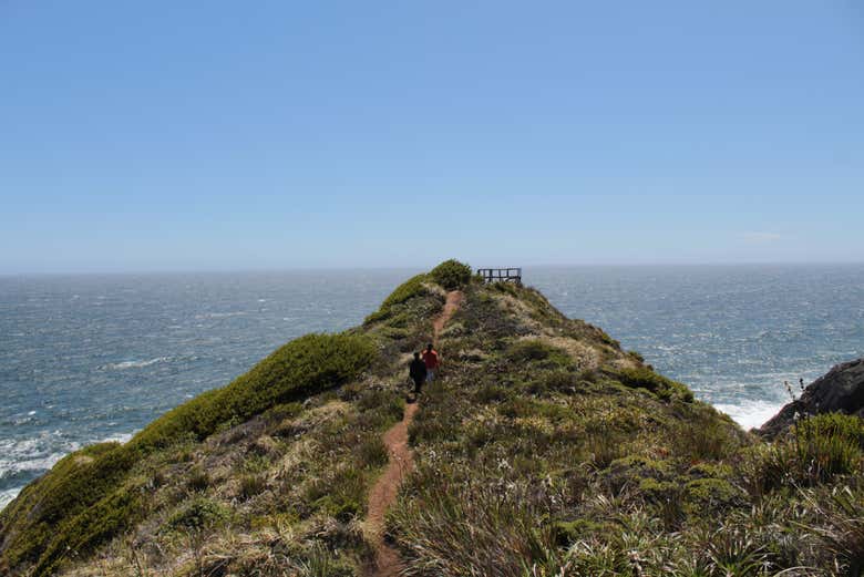 Excursión a Punta Curiñanco