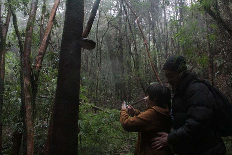 Tour por la reserva ecológica Senderos del Bosque