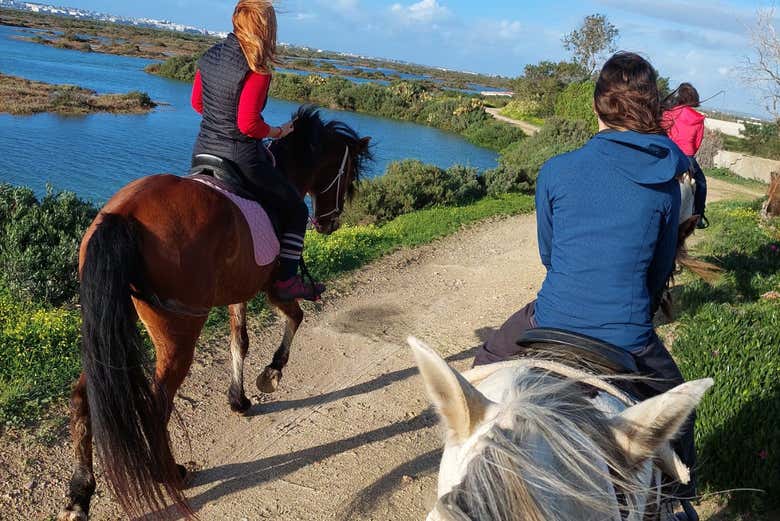 Paseo a caballo por las marismas del Coto de la Isleta