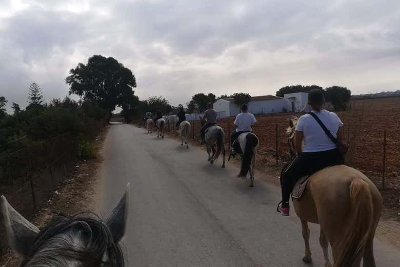 Paseo a caballo por las marismas del Coto de la Isleta