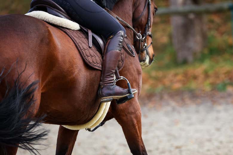 Paseo a caballo por la Curva de la Herradura