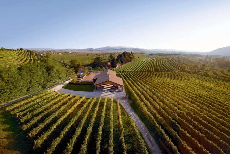 Visita a la bodega Fasol Menin