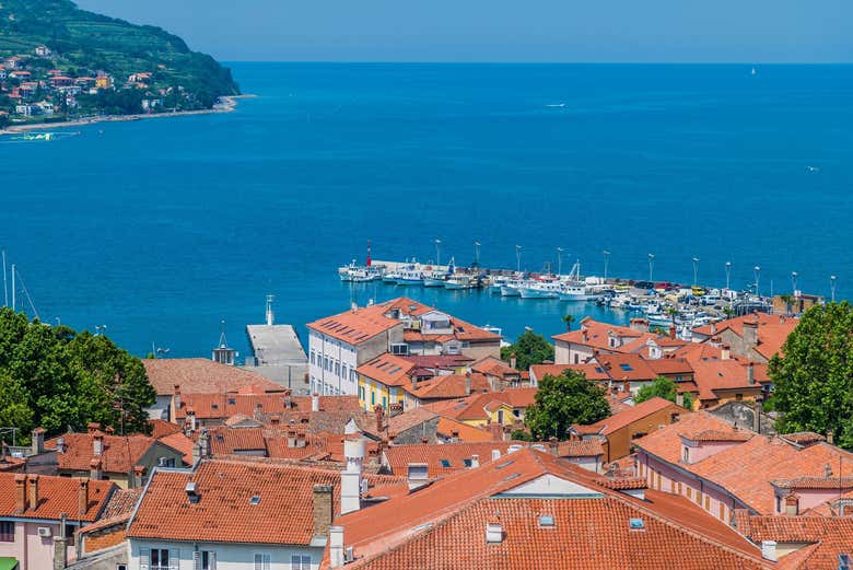 Visita guiada por Koper