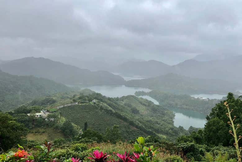 Tour del té por Pinglin y Maokong