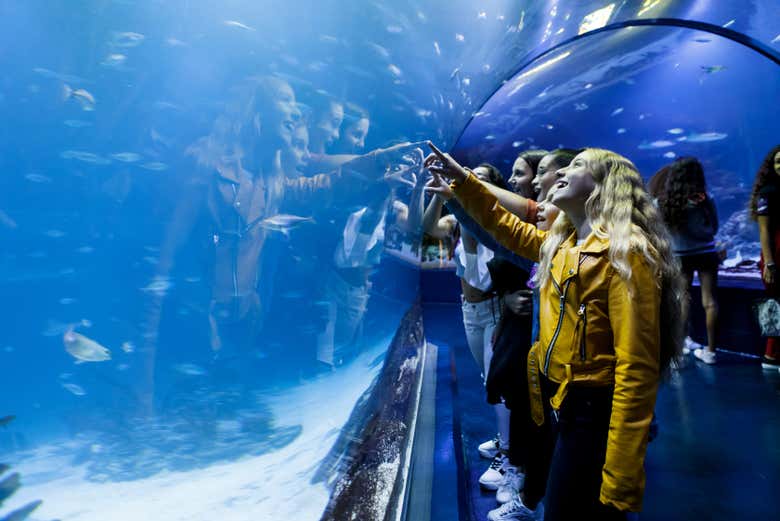 Entrada a Atlantis Aquarium - Galería 1
