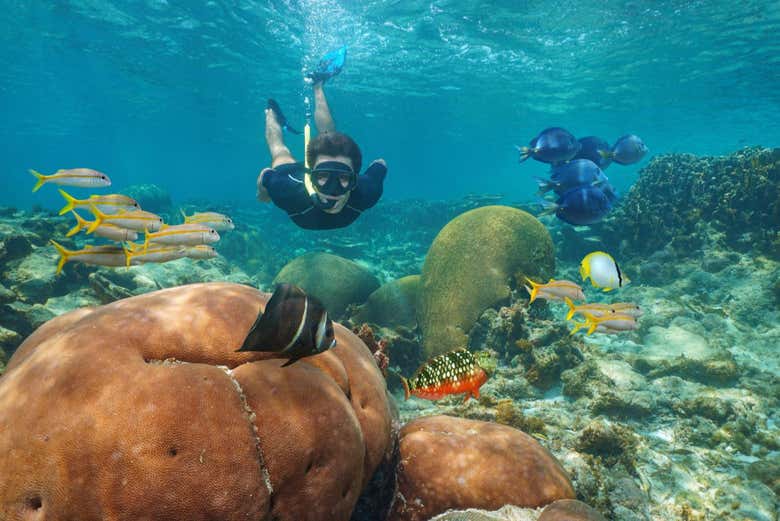 Snorkel en Mindelo