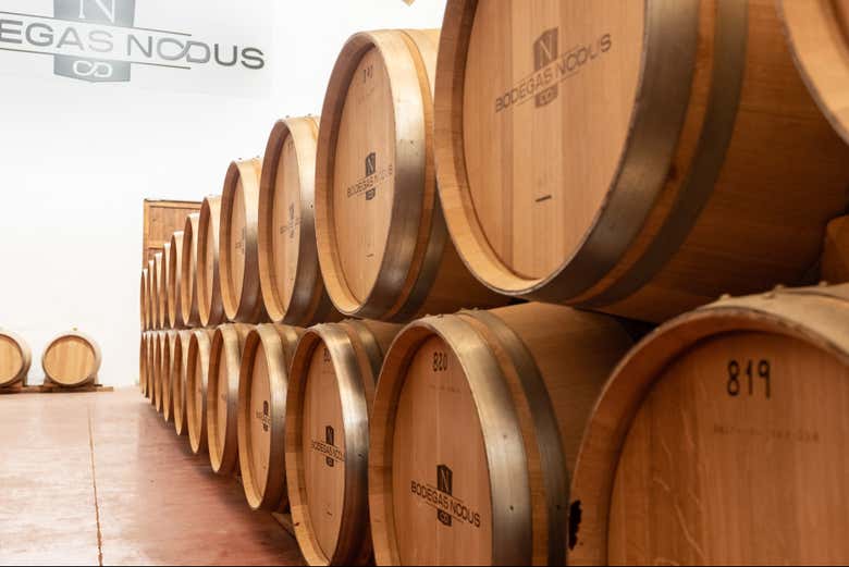Visita a las Bodegas Nodus