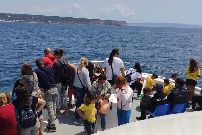 Avistamiento de ballenas y delfines en Barbate