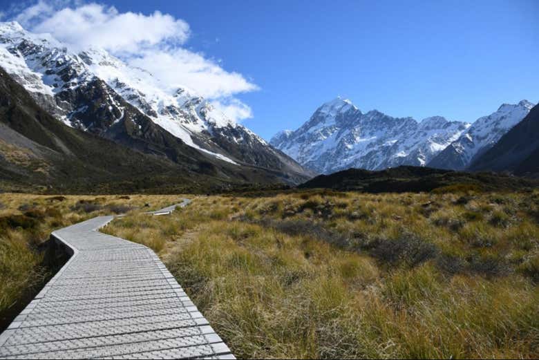 Excursión al Monte Cook