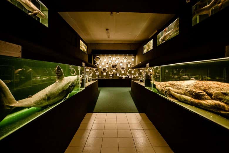 Entrada al Museo Oceanográfico Univali
