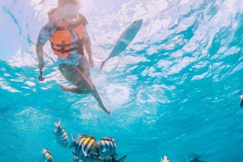 Snorkel en Los Arcos de Mismaloya