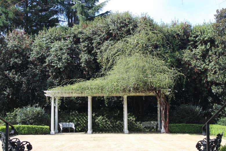 Tour por la plantación Historic Rosedale