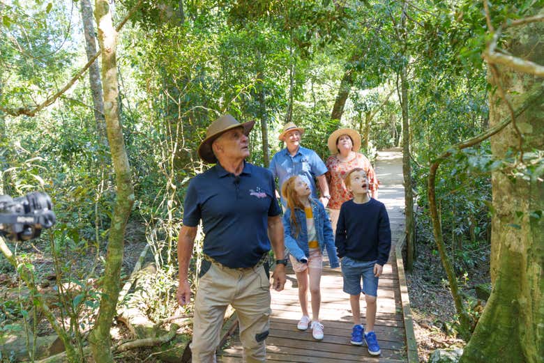 Excursión a Lamington y el valle de Canungra