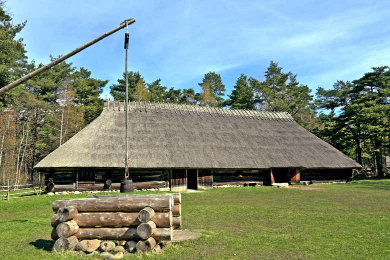 Tour por el Museo al Aire Libre de Estonia
