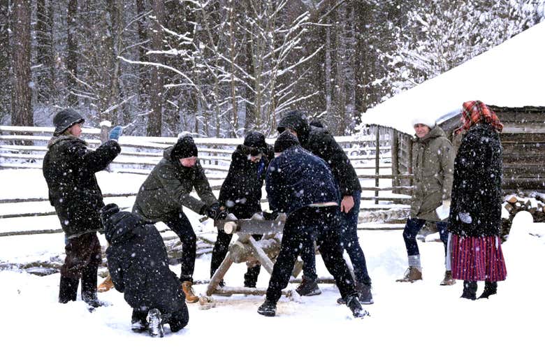 Tour por el Museo al Aire Libre de Estonia