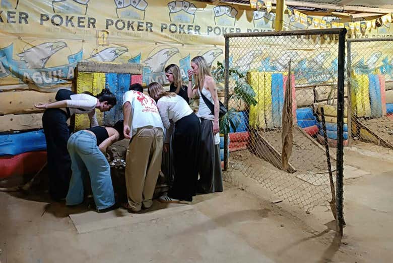 Juego del tejo + Fiesta en Salento