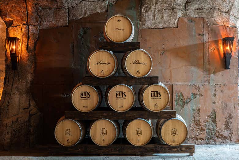 Visita a la bodega Aldonza