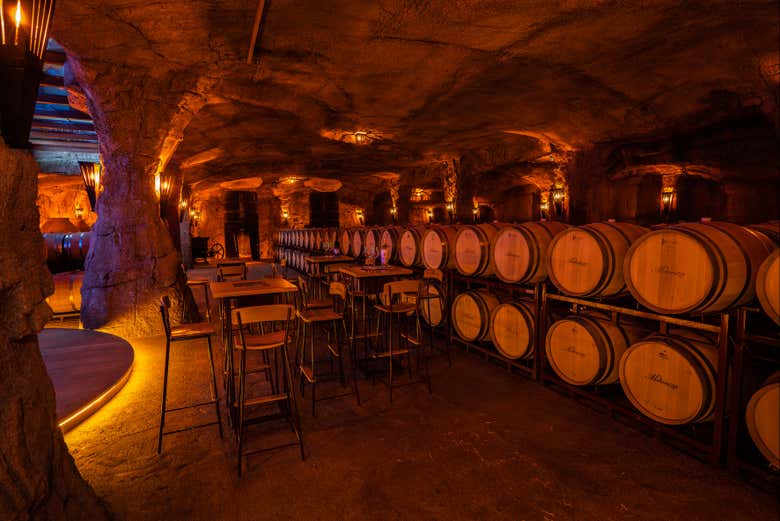 Visita a la bodega Aldonza