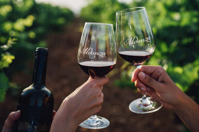 Visita a la bodega Aldonza
