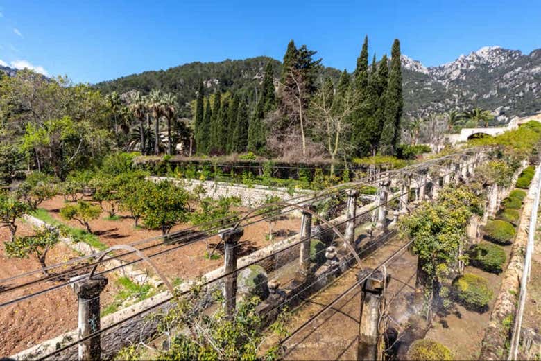 Entrada a los Jardines de Alfabia
